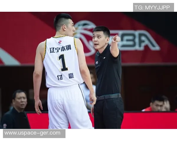 2015年辽宁与广东篮球决赛精彩回顾及全场录像分析