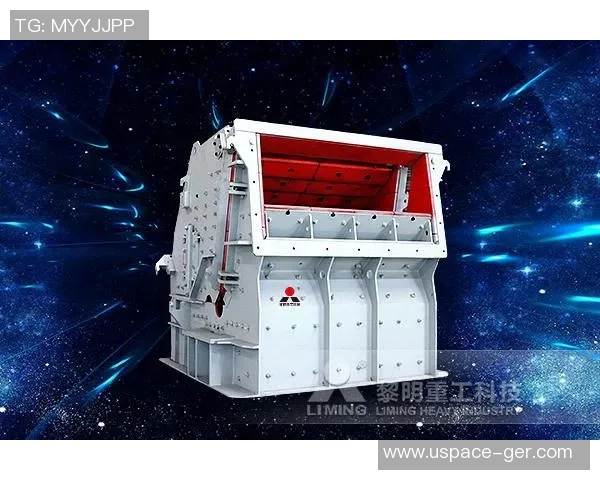 专业解析LNG市场的防御与反击策略探讨